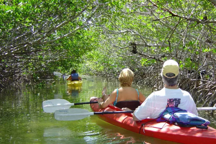 a person riding on the back of a boat