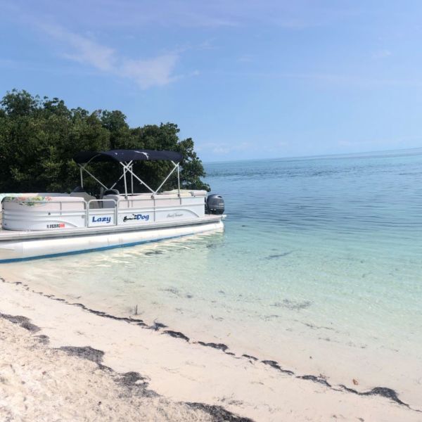 a sandy beach next to a body of water