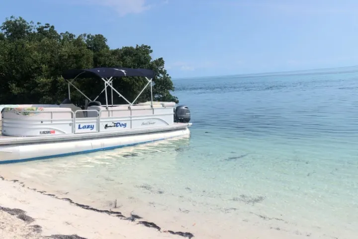 a sandy beach next to a body of water