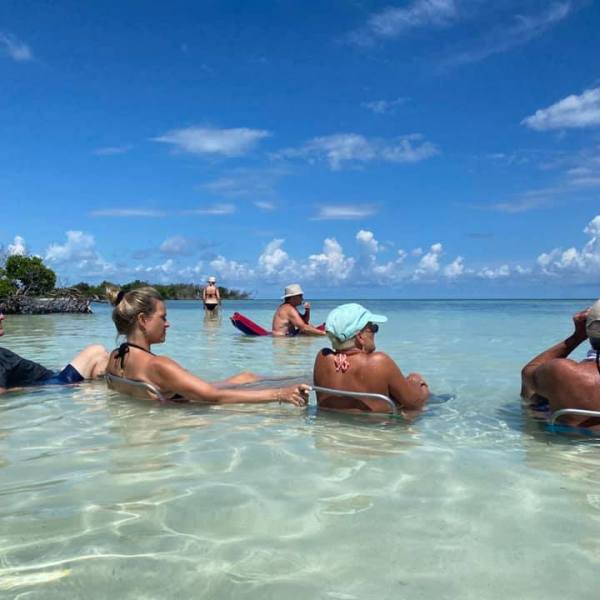 a group of people swimming in a body of water