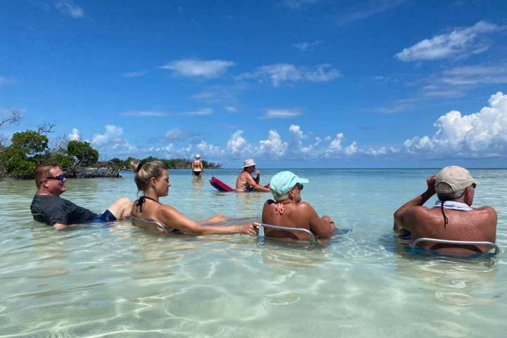 a group of people swimming in a body of water