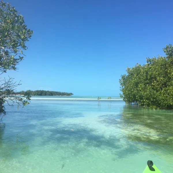a kayak in a body of water
