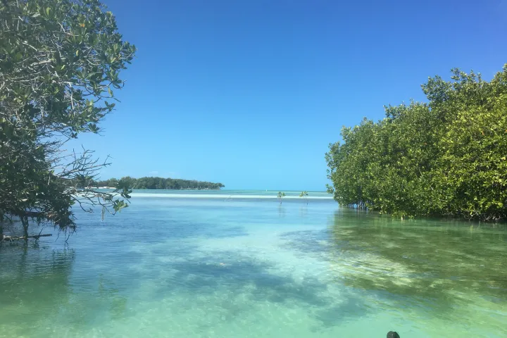 a kayak in a body of water