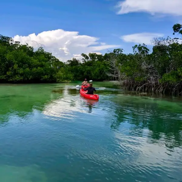 a kayak in a river in key west