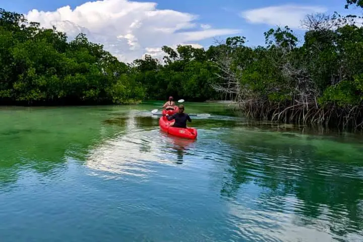 a kayak in a river in key west