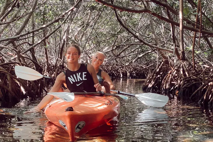 a person kayaking in mangroves