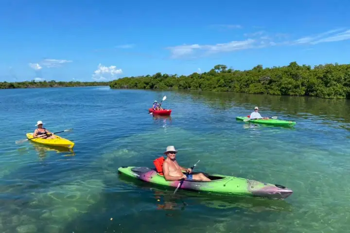 a group of people kayaking in key west