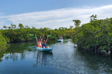 Key West Kayak Eco Tour | Lazy Dog Adventures