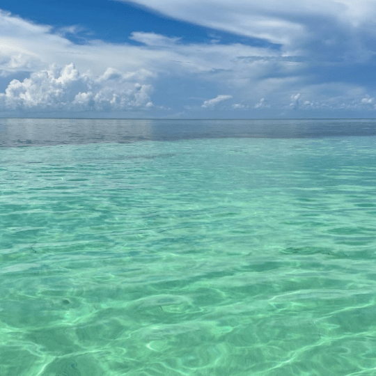 a large body of water