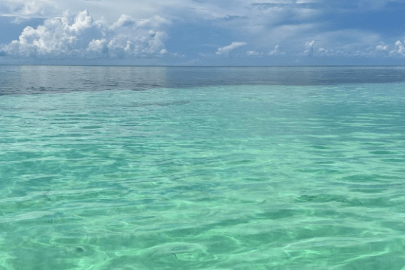 a large body of water